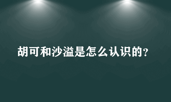 胡可和沙溢是怎么认识的？