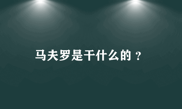 马夫罗是干什么的 ？