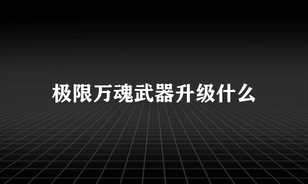 极限万魂武器升级什么