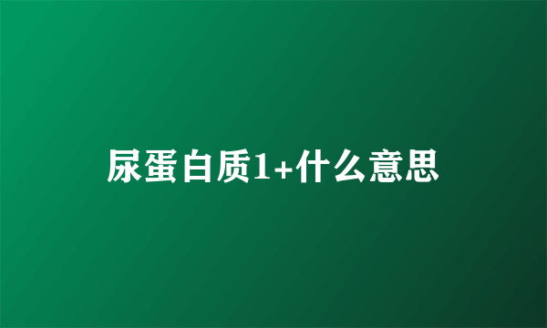 尿蛋白质1+什么意思