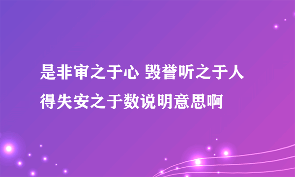 是非审之于心 毁誉听之于人 得失安之于数说明意思啊