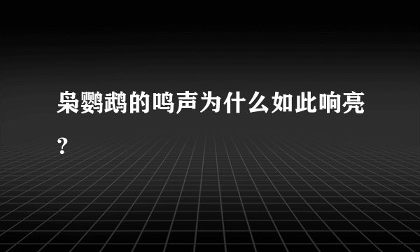 枭鹦鹉的鸣声为什么如此响亮？