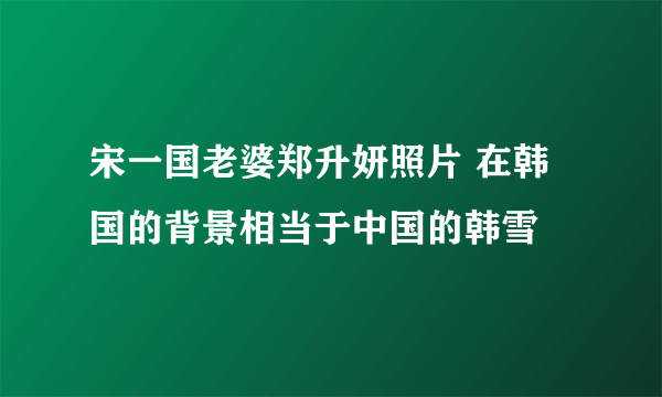 宋一国老婆郑升妍照片 在韩国的背景相当于中国的韩雪