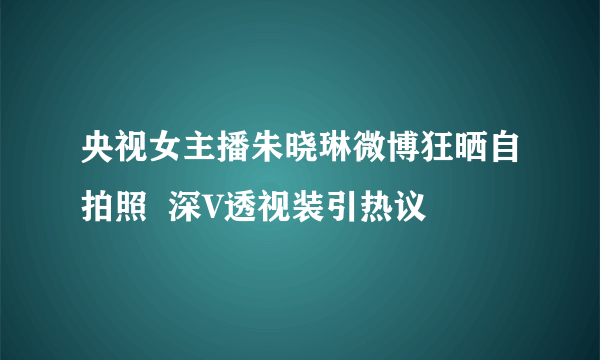 央视女主播朱晓琳微博狂晒自拍照  深V透视装引热议