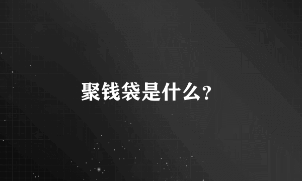 聚钱袋是什么？