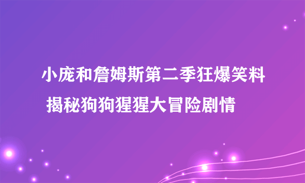 小庞和詹姆斯第二季狂爆笑料 揭秘狗狗猩猩大冒险剧情