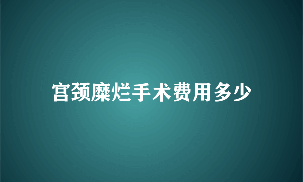 宫颈糜烂手术费用多少