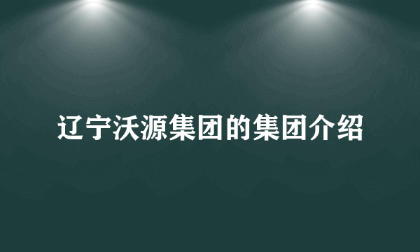 辽宁沃源集团的集团介绍