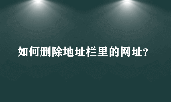 如何删除地址栏里的网址？