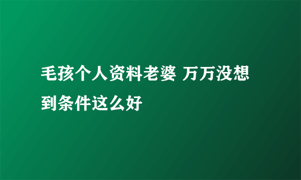 毛孩个人资料老婆 万万没想到条件这么好