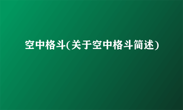 空中格斗(关于空中格斗简述)