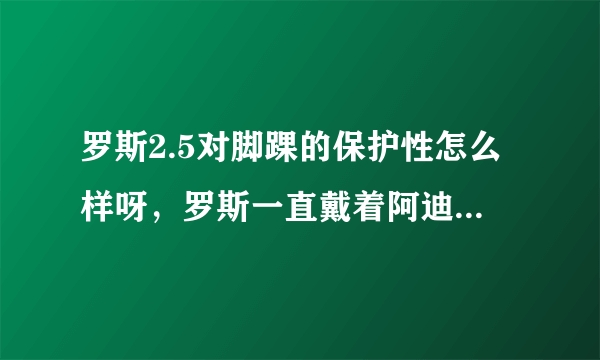 罗斯2.5对脚踝的保护性怎么样呀，罗斯一直戴着阿迪的护踝我没有呀