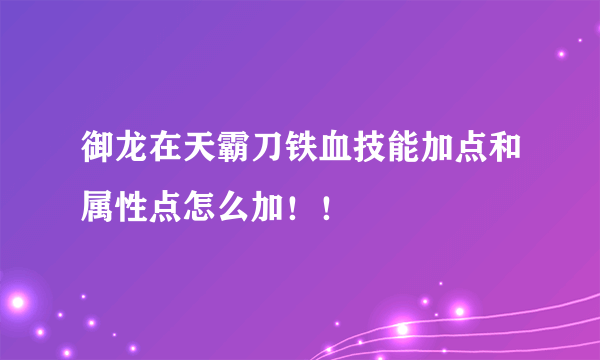 御龙在天霸刀铁血技能加点和属性点怎么加！！