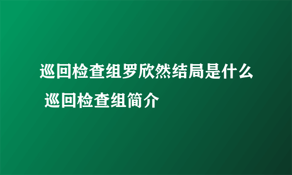 巡回检查组罗欣然结局是什么 巡回检查组简介