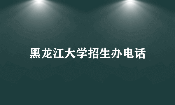 黑龙江大学招生办电话