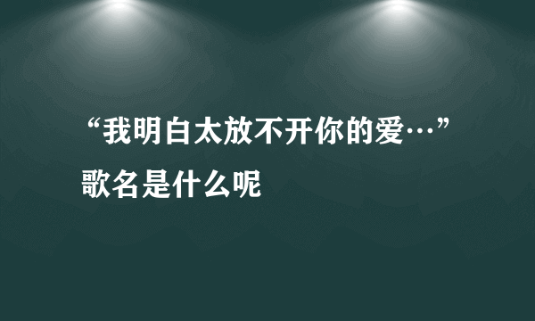 “我明白太放不开你的爱…” 歌名是什么呢