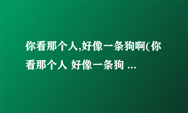 你看那个人,好像一条狗啊(你看那个人 好像一条狗 是什么意思)