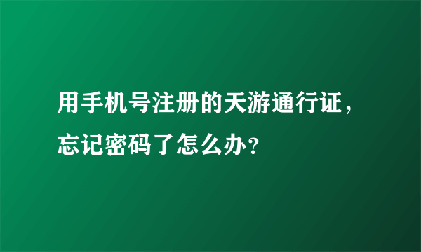 用手机号注册的天游通行证，忘记密码了怎么办？