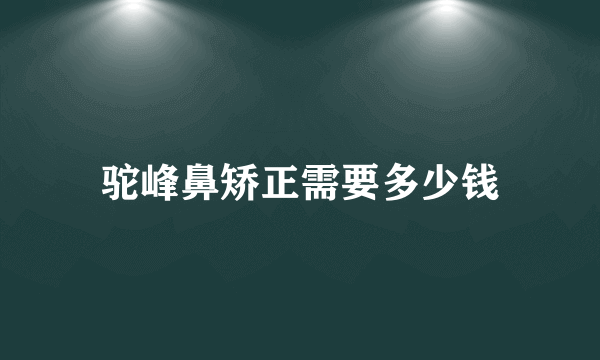 驼峰鼻矫正需要多少钱