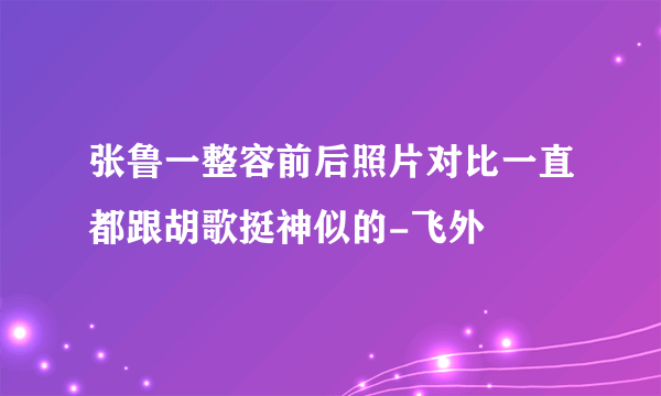 张鲁一整容前后照片对比一直都跟胡歌挺神似的-飞外