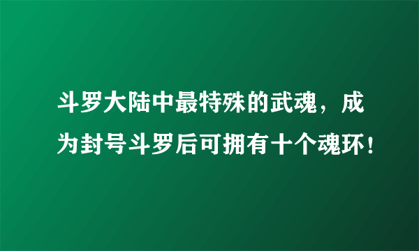 斗罗大陆中最特殊的武魂，成为封号斗罗后可拥有十个魂环！