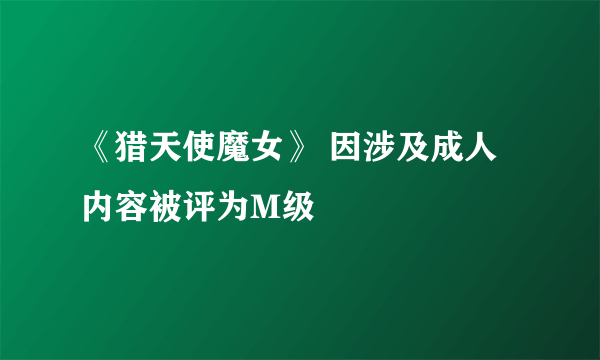 《猎天使魔女》 因涉及成人内容被评为M级