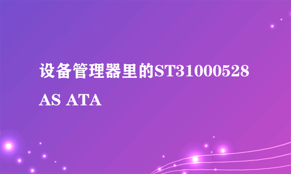 设备管理器里的ST31000528AS ATA