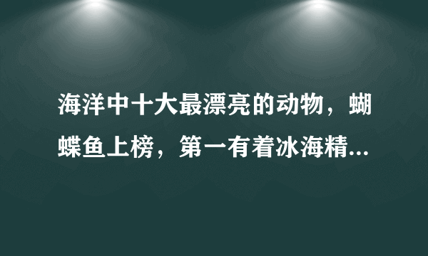 海洋中十大最漂亮的动物，蝴蝶鱼上榜，第一有着冰海精灵的美称