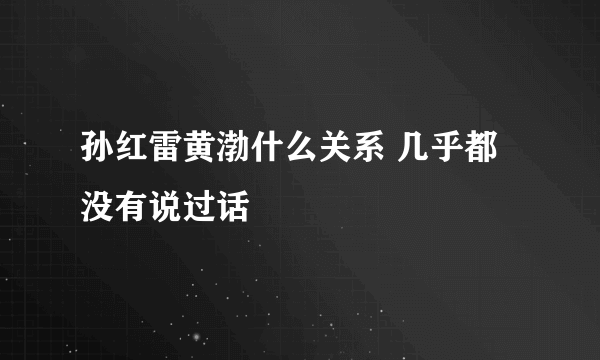 孙红雷黄渤什么关系 几乎都没有说过话