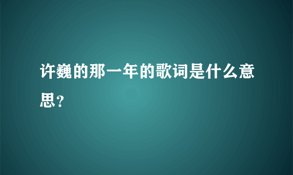 许巍的那一年的歌词是什么意思？