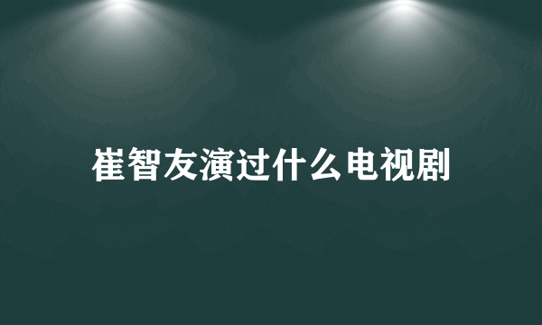 崔智友演过什么电视剧