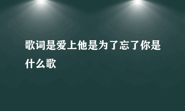 歌词是爱上他是为了忘了你是什么歌