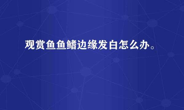 观赏鱼鱼鳍边缘发白怎么办。