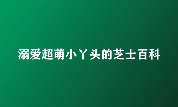 溺爱超萌小丫头的芝士百科