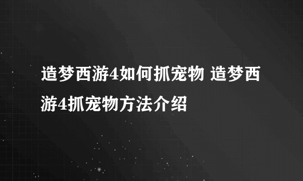 造梦西游4如何抓宠物 造梦西游4抓宠物方法介绍