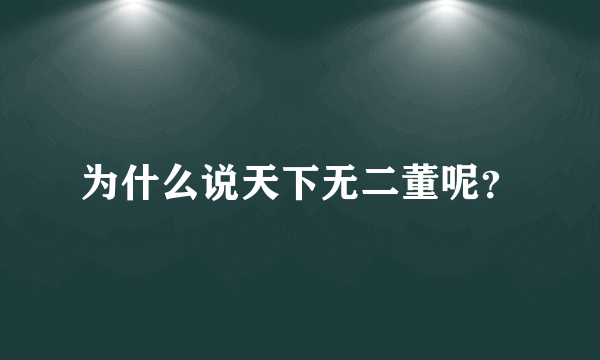 为什么说天下无二董呢？