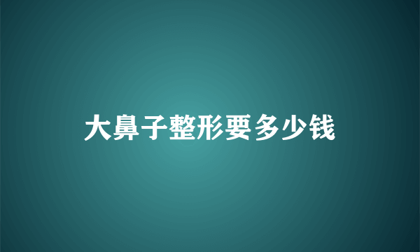 大鼻子整形要多少钱