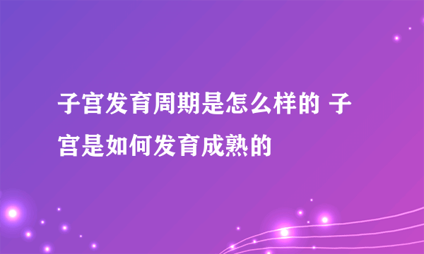 子宫发育周期是怎么样的 子宫是如何发育成熟的