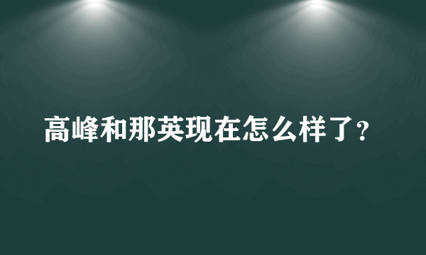 高峰和那英现在怎么样了？