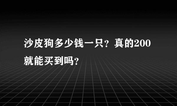 沙皮狗多少钱一只？真的200就能买到吗？