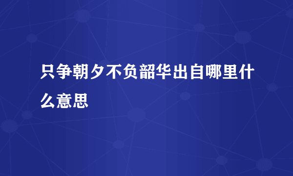 只争朝夕不负韶华出自哪里什么意思