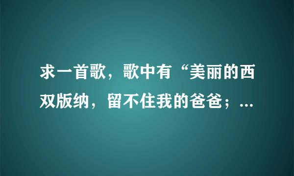 求一首歌，歌中有“美丽的西双版纳，留不住我的爸爸；上海那么大，有没有我的家…”