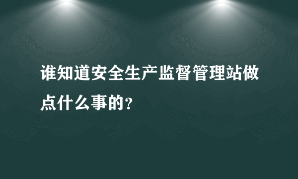 谁知道安全生产监督管理站做点什么事的？