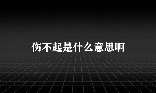 伤不起是什么意思啊