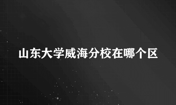 山东大学威海分校在哪个区