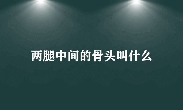 两腿中间的骨头叫什么