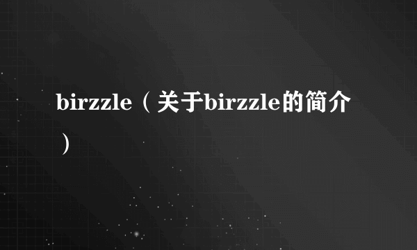 birzzle（关于birzzle的简介）