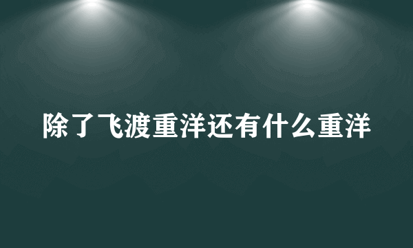 除了飞渡重洋还有什么重洋