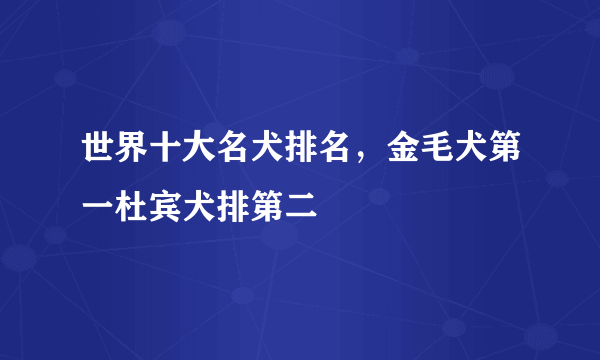 世界十大名犬排名，金毛犬第一杜宾犬排第二 