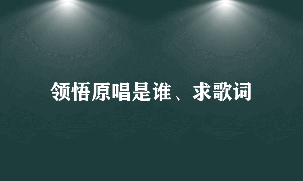 领悟原唱是谁、求歌词